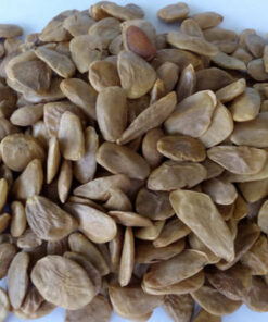 buy akuamma seeds