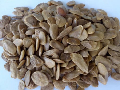 buy akuamma seeds